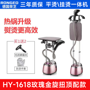 Home Use Double Rod Steam Iron Machine Clothing Store Flat Ironing And Hanging Ironing Integrated Machine Iron for Clothes