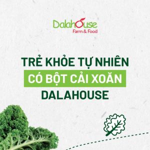 Bột Cải Xoăn - Cải Kale Dalahouse - Cải Kale Hữu Cơ Sấy Lạnh Dalahouse - Chuẩn Organic