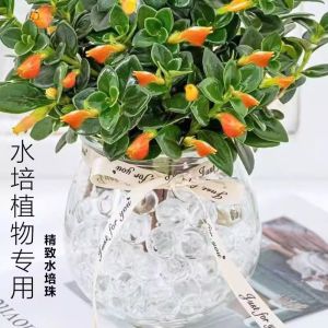 Hydroponic Beads Crystal Mud Floral Green Plant Moisturizing Attractive Soilless Cultivation Baby Plant Nutrient Balls