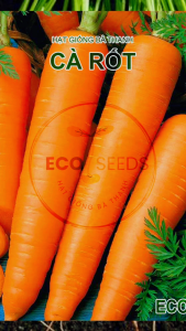 [EcoSeeds] Hạt Giống Cà Rốt F1 HyBrid (Củ Cải Đỏ) - Giống Xuất Khẩu Sinh Trưởng Mạnh - Gói 5g