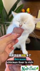20PCS Nutritail Boiled Chicken Breast 40g Steamed Chicken Breast Liver Heart Pet Treats
