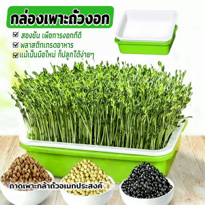 MegaMate กล่องเพาะถั่วงอก ถาดเพาะต้นอ่อน ไม่ต้องใช้ดิน นำกลับมาใช้ใหม่ได้ สำหรับมือใหม่ 1ชุด bean sprouts tray