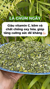 Lá chùm ngây sấy lạnh 1kg chùm ngây xanh thơm sạch - Chợ Thảo Dược Việt
