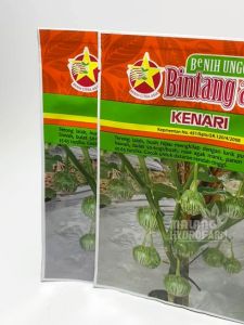 10 gram benih kenari terong lalap hijau bulat bintang asia bibit sayur unggul hidroponik konvensional
