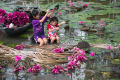 10 Củ Bông Súng. 