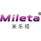 Mileta EV charger