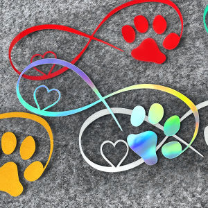 Dễ thương động vật chó Claw Sticker không thấm nước phản chiếu xe thân xe máy Bìa vết trầy xước cá nhân sáng tạo