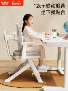 ZHIXUEKU | Adjustable Posture Correcting Study Chair
