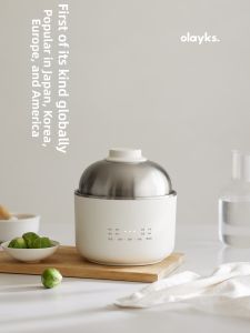 Olayks | Individual Meal Electric Hot Pot Stainless Steel