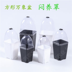 Square Succulent Planter Black High Moisture Control Side Opening Lid Cover Pot for Epiphyllum And Haworthia Plants