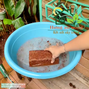 Mụn dừa viên gạch giá thể hữu cơ 100% dùng ươm trồng rau cây cảnh trọng lượng 450g