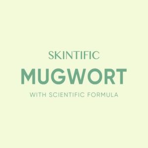 SKINTIFIC Mugwort Anti Pores & Acne Clay Mask 55g