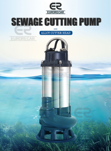 Stainless Steel Sewage Pump Submersible Pump Septic Tank Biogas Tank Sewage Special Irrigation Flood Cutting Pump 220V