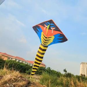 Diều Rắn Khủng Đăng Quang