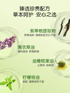 Baby Beechleaf Balm: Non-Mosquito Repellent for Infants & Children