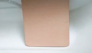 Japan Fast Water Absorbent Diatomaceous Earth Mat Anti-Slip Fast Dry Bathroom Toilet Mat Diatomite Mud Mat Floor Mat