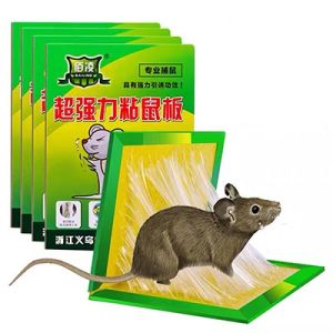 Mouse & Rat Glue Trap: Expert Rodent Management