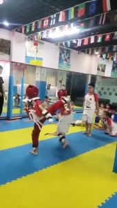 15 in 1 Taekwondo Protective Gear Full Set Taekwondo Armor Full Set Taekwondo Equipment Accessories Set
