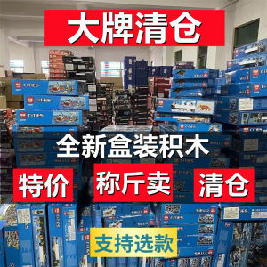 Big Sale Sold by Half Kilogram Toys Domestic Building Blocks Sell Small Particles Puzzle Assemble Blind Box Gifts for Men and Women Cheap Leak-Picking