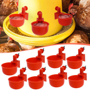 5 cái nước tự động cho thú cưng trung chuyển nước nhựa cốc chai cho Gà Chim bồ câu Vẹt Chim hamster gia cầm bát uống nước cho thú cưng