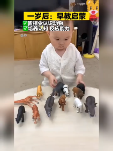 🔥จัดส่งภายใน 12 ชั่วโมง🔥ชุดสัตว์ป่า 58 ชิ้น พร้อมกล่องเก็บของ ของเล่นสัตว์จำลองสำหรับเด็ก