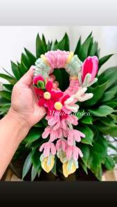 มาลัยทิวลิป ชมพู