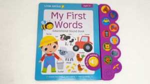 Little Genius First Words 10 Buttons Sound Book for Kids to Learn Simple Words
