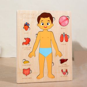 Montessori Jigsaw Puzzle Of Human Structure Kids Human Learning Toy,Anatomy Organ Model Anatomy Toy Children Education Toy