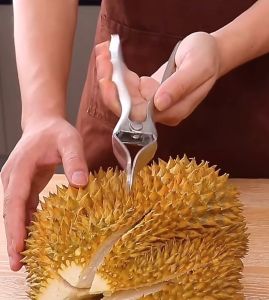 Durian peel stainless steel ที่แกะเปลือกทุเรียน แบบสแตนเลส