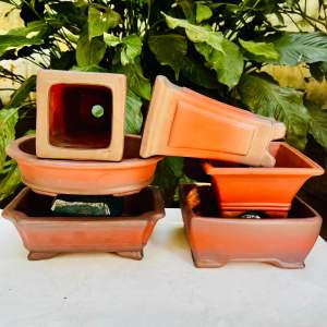 Compo 6 chậu nâu đỏ Bát Tràng trồng sen đá xương rồng bonsai