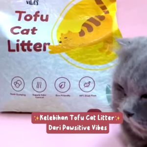Natural Premium Tofu Cat Litter - Pasir Kucing Tofu Premium - Pasir Gumpal Soya - Tofu Clumping Cat Litter - Pasir Kucing Gumpal Soya - Tofu Clumping Cat Litter/ Pasir Tofu/ Pasir Soya - Pasir Kucing Murah - Pasir Kucing Gumpal Wangi