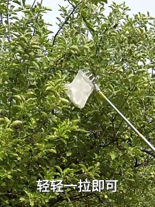 ตะกร้อสอยผลไมั ที่สอยมังคุด ตะกร้อสอยมะม่วง ไม้สอยยืดหดได้ ด้ามต่อยืดได้ สอยผลไม้สูง กรรไกรตัดกิ่ง ไม้ยืดได้หดได้ ไม้สอยผลไม้สูง วัสดุสแตนเลส (ด้ามยืดหดได้ 1.5/3/6/10M)