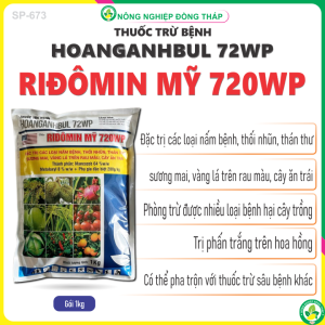 Thuốc Trừ Bệnh HOANGANHBUL 72WP Hiệu RIĐÔMIN MỸ 720WP – Đặc Trừ Các Loại Nấm Bệnh Thối Nhũn Thán Thư Sương Mai Vàng Lá Trên Rau Màu Cây Ăn Trái (Gói 1Kg)