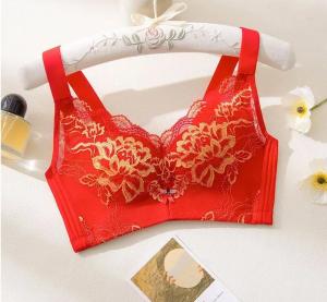 TriumphˉNew style Comfortable bra without underwire women back buckle fixed Push-up bra to prevent sagging Suitable for small breasts TWO-PIECE