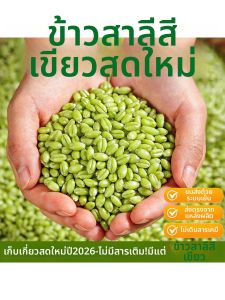 Organic Unprocessed Barley Grains