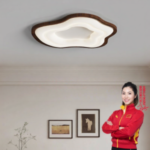 HUANGJIANG | Modern Minimalist Creative Designer Bedroom Ceiling Light