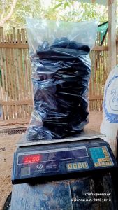 ถ่าน ถ่านหุงต้ม