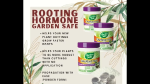 GARDEN SAFE BRAND TAKE ROOT ROOTING HORMONE 57 GRAMS IMPORTED FROM USA