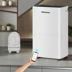 Hisense | Industrial Powerful Dehumidifier