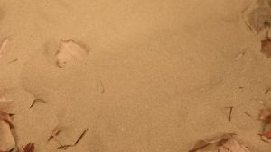 Cubot KingKong 9: A Rugged Smartphone with 12GB RAM & 256GB Storage