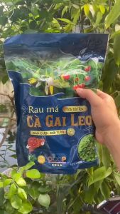 Trà túi lọc Cà Gai Leo Rau Má Giga trà cà gai leo rau má Giga dùng cho người nóng trong nhiệt (bịch 250g)