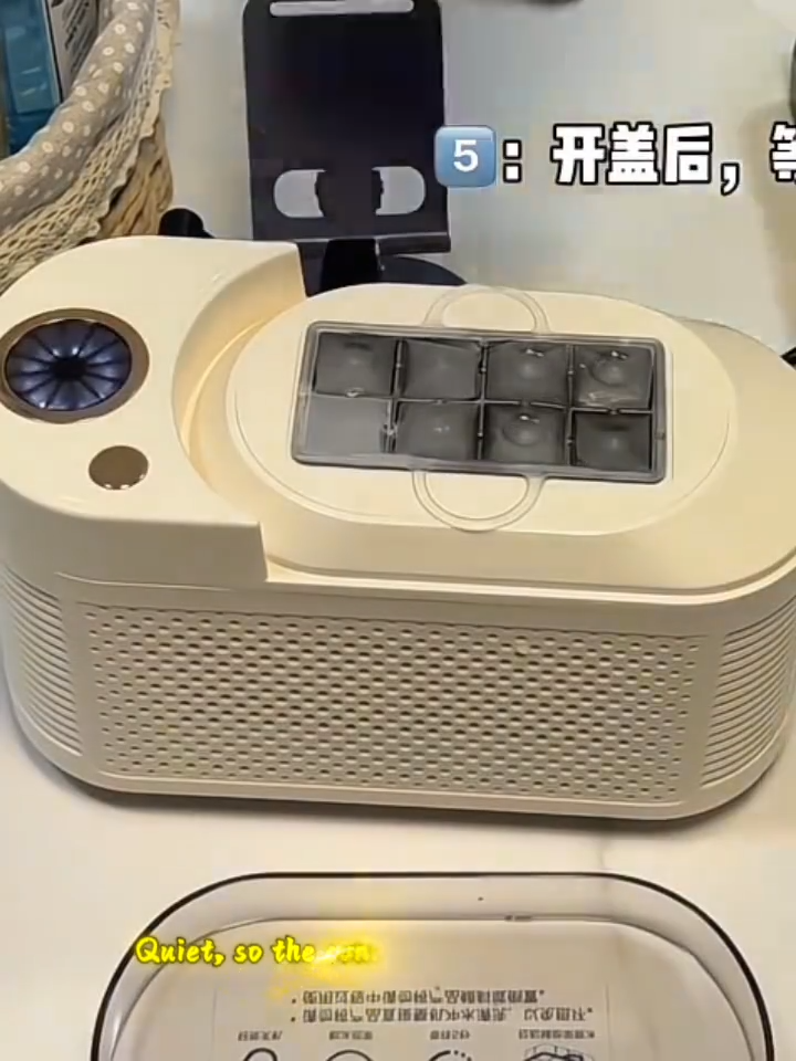 Portable Ice Maker 8 Cubes in 10 Mins 12V Car & Home Use 120W Quiet Countertop Machine for Camping Travel Kitchen