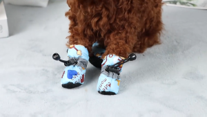 Giày Chó Mèo có dây rút chống tuột họa tiết khỉ nâu (hàng mới về) - Hara Pet Store