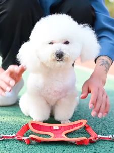 Pet dog harness with leash puppy harness vest for dog cat reflective puppy leash harness