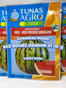 Benih Semangka Merah RRD Red Round Dragon F1 10 gram Tunas Agro bibit biji unggul buah bulat bali flower hydroponik hidroponik
