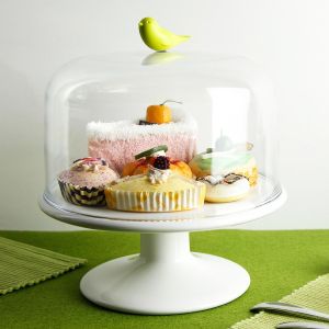 Sweet Tweet M Cake Tray ถาดใส่ขนมเค้ก พร้อมฝาครอบ ดีไซน์ นกน้อย กันมดแมลงได้ Qualy (ควอลี่)
