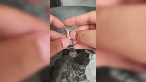 Apollo F-Type F-11 เกลียวแน่น นำสัญญาณ RG-6 ได้ดี 100 ชั่วโมง