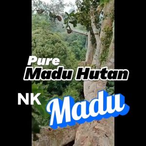Madu Hutan Sumatera Sialang Nektar Akasia Isi 1 Kg