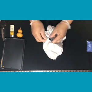 SKISOPGO 20pcs Disposable Bra Non-Woven Fabric Womens Bra for Beauty Salon Spa Tattoo Sauna Slimming Travel Massage Tanning