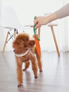 HOOPET | Teething Resistant Dog Tug Toy Rope